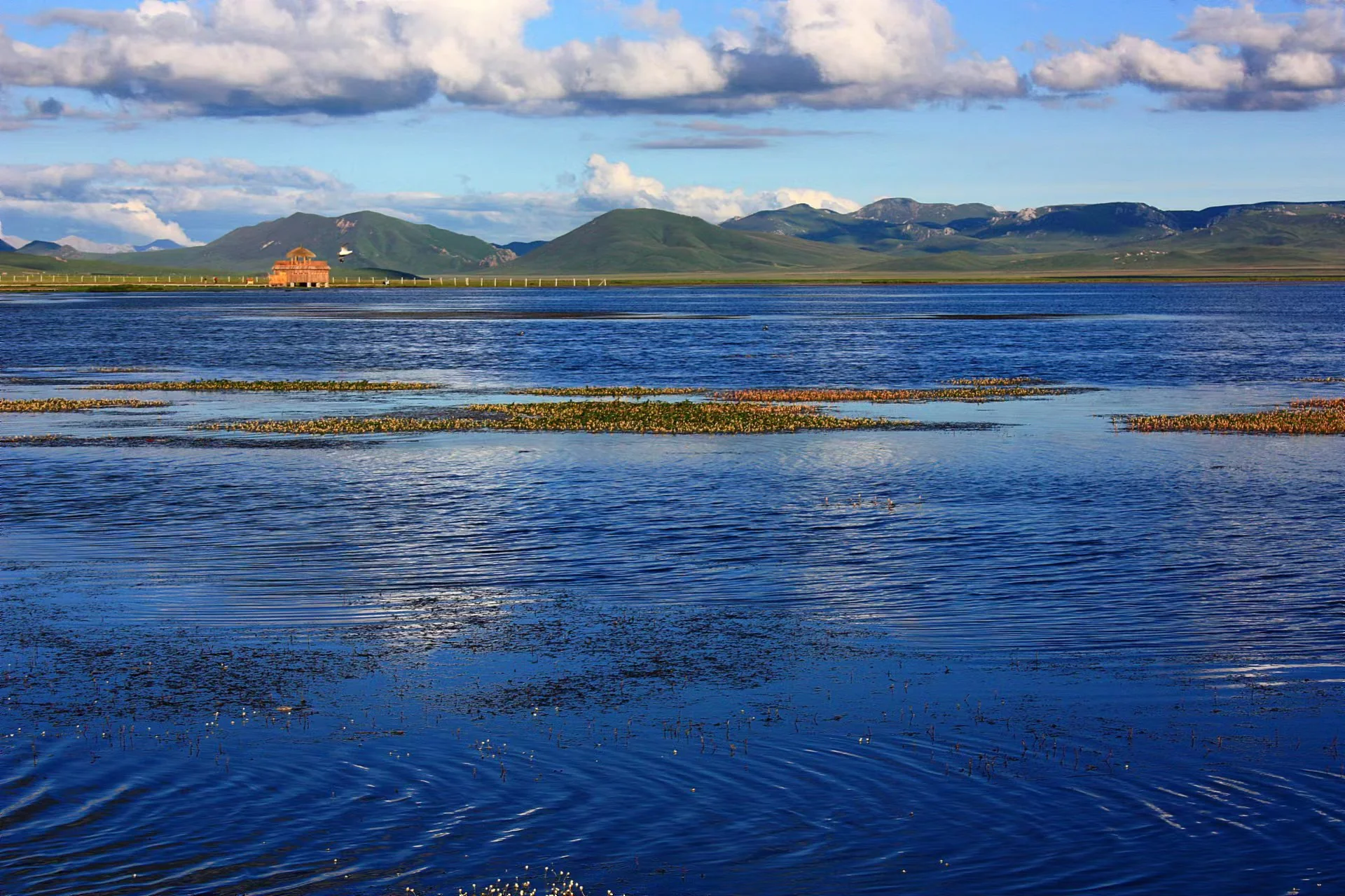 黄河首曲保护区湿地