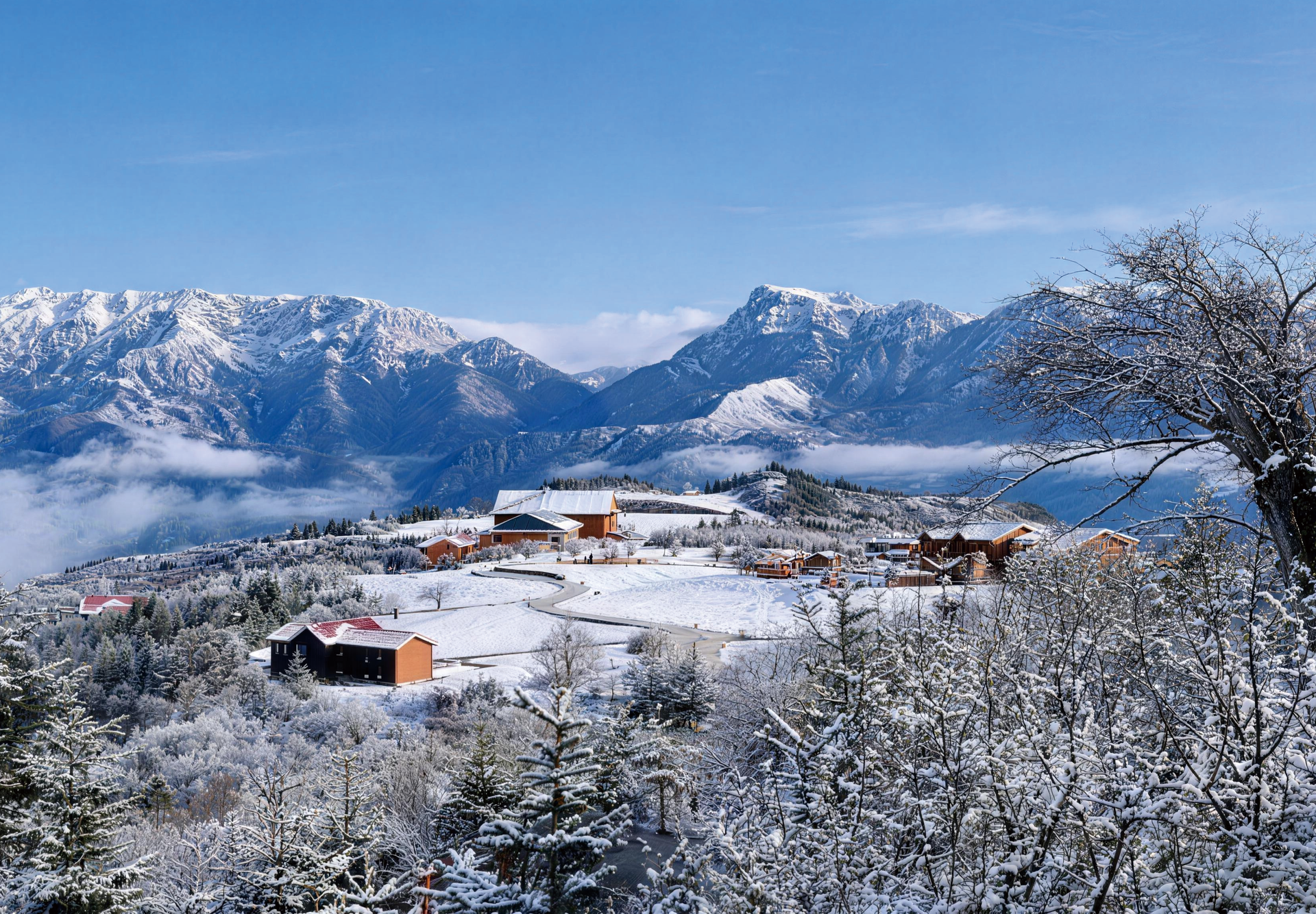 拉尕山雪景（甘肃省舟曲县拉尕山省级森林公园）