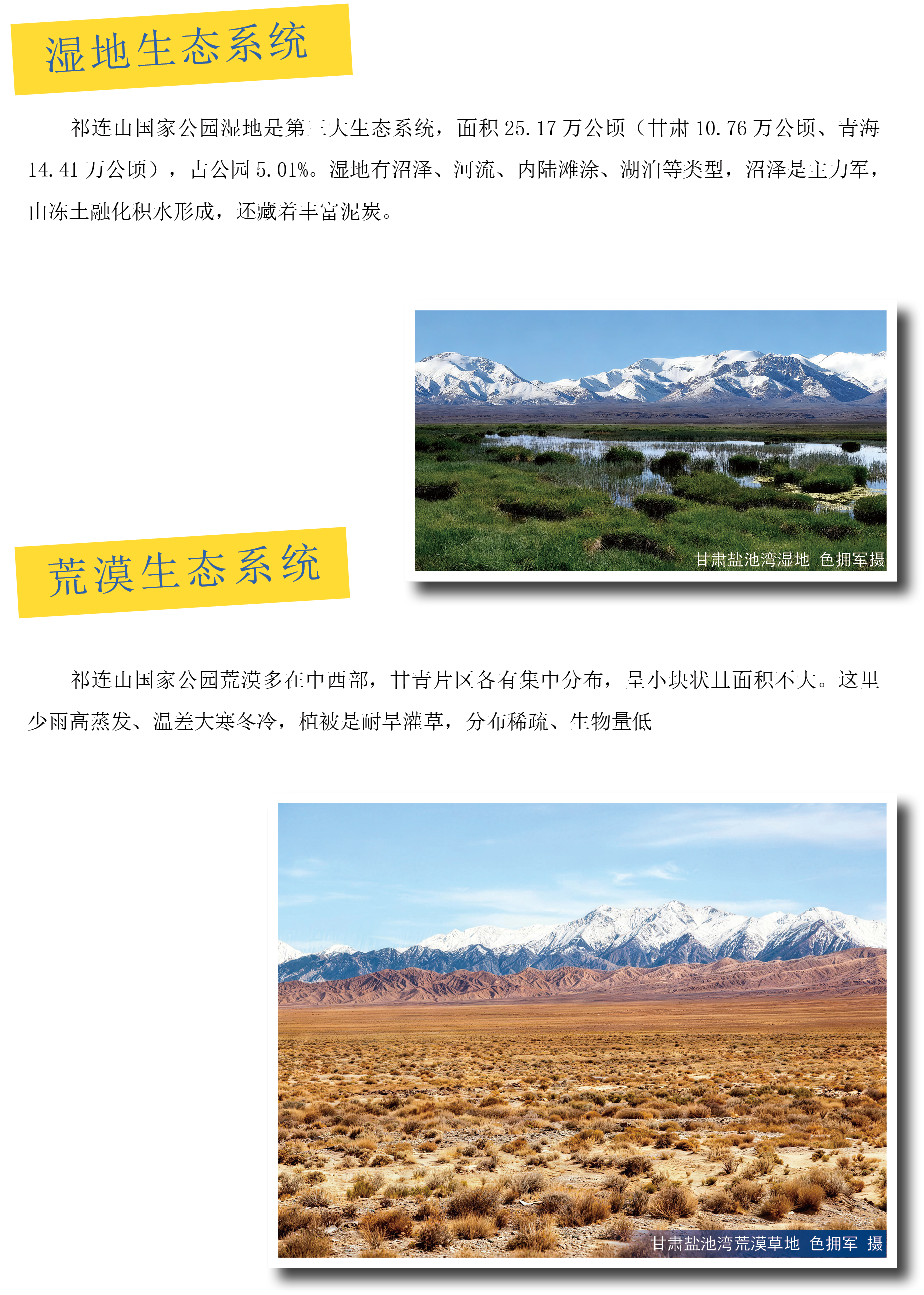湿地生态系统-荒漠生态系统