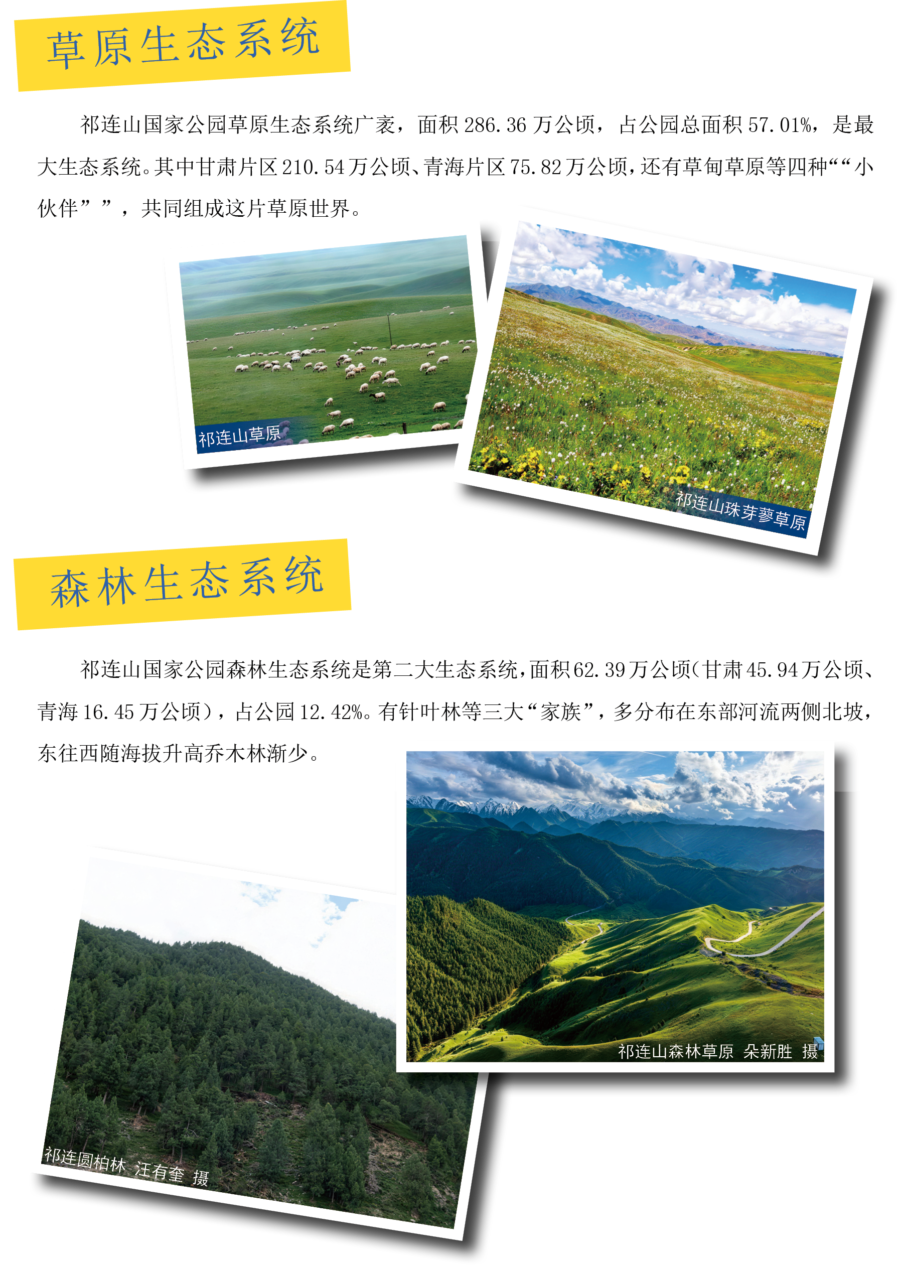 草原生态系统-森林生态系统